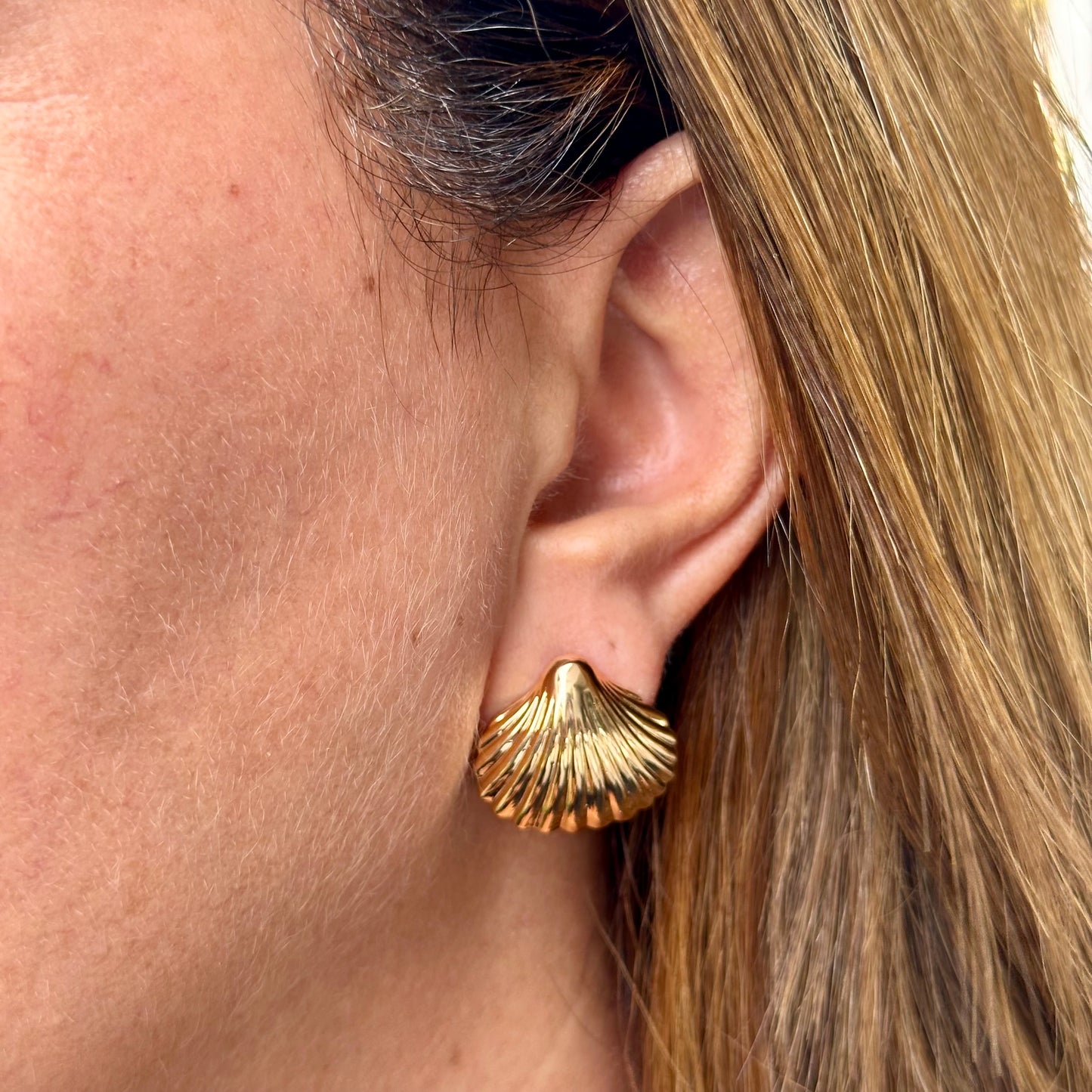 Shell Earrings in 18K Gold Plated