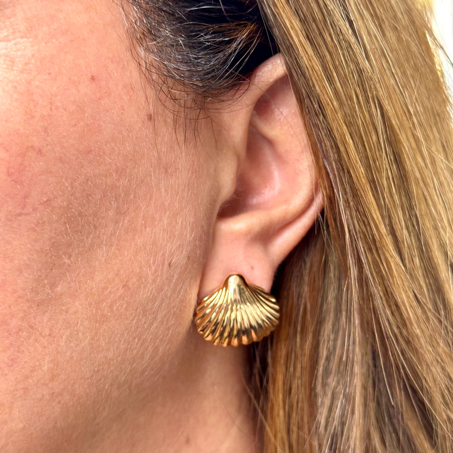 Shell Earrings in 18K Gold Plated