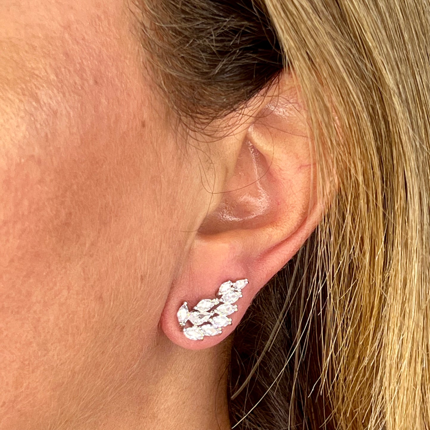 Avezzano Earrings in 18K White Gold Plated