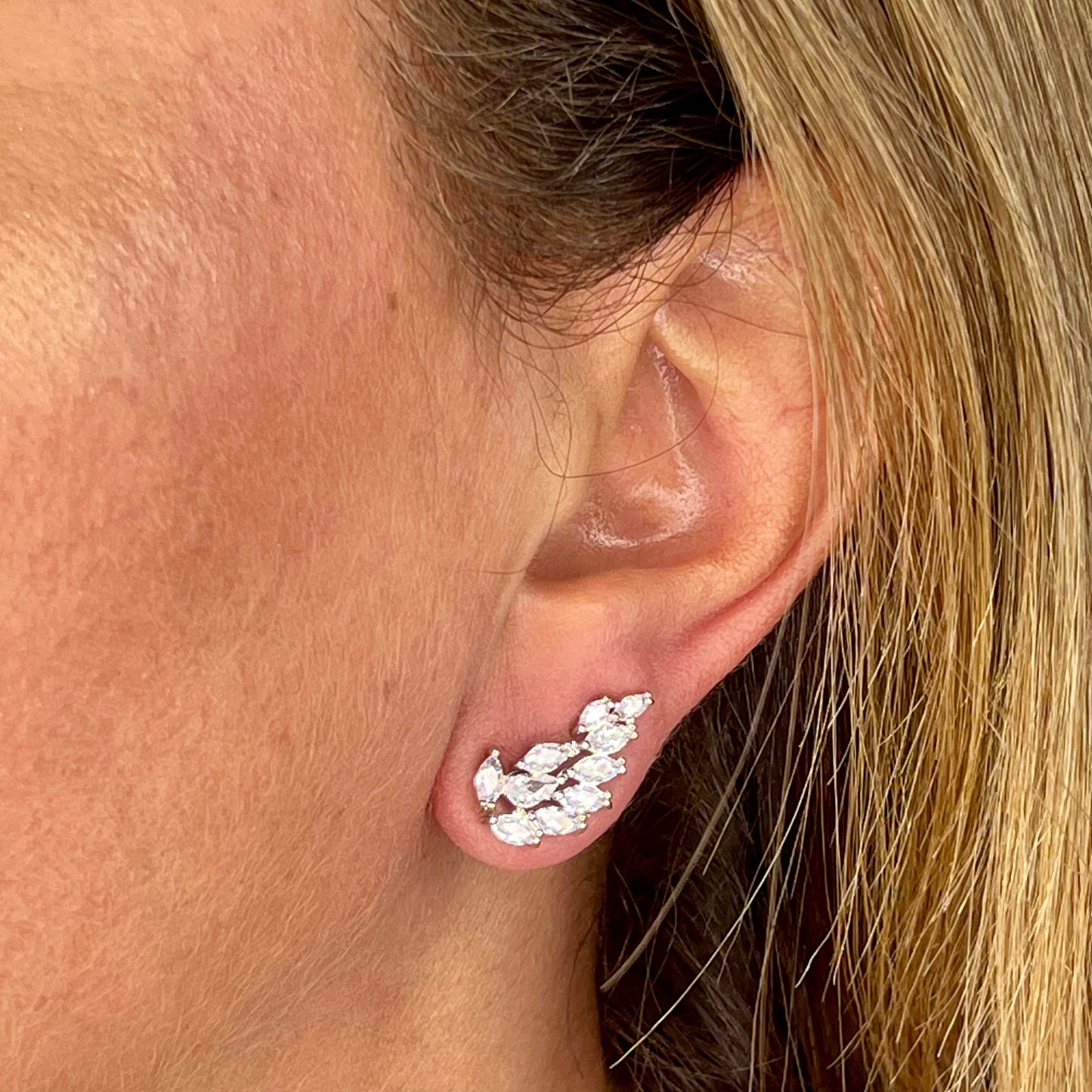 Avezzano Earrings in 18K White Gold Plated